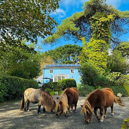 Bay View Cottage St. Austell Eksteriør bilde